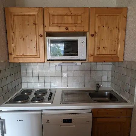 Familial, Animaux Admis, Au Pied Des Pistes - Fr-1-811-16 * Les Deux Alpes